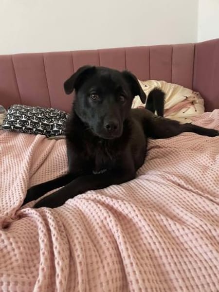 Yana, zarte Schönheit sucht ....