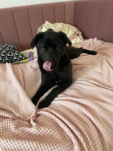 Yana, zarte Schönheit sucht ....