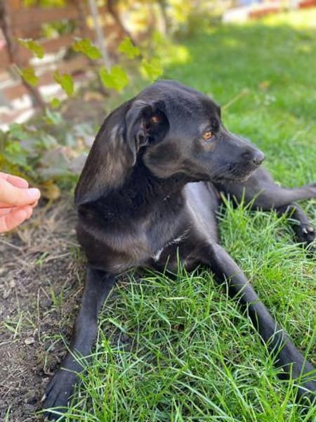 Yana, zarte Schönheit sucht ....