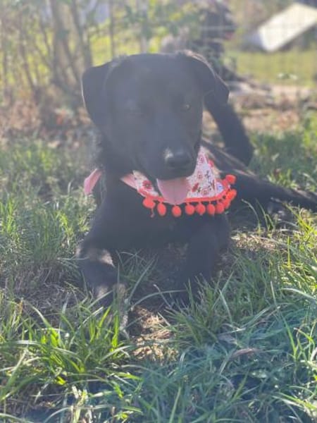 Yana, zarte Schönheit sucht ....