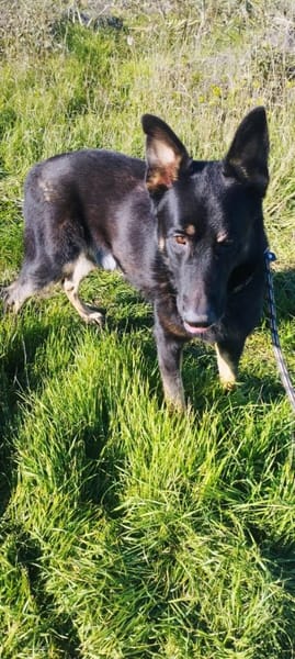 Freddy braucht euch dringend