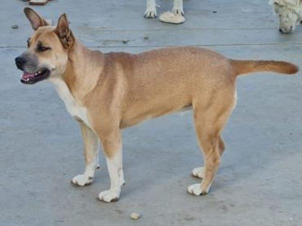 Doina liebt Menschen über alles