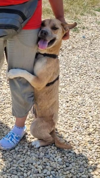 Doina liebt Menschen über alles