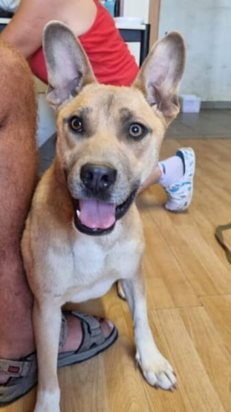 Doina liebt Menschen über alles