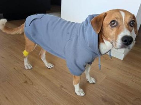 Lucero endlich ist er in Sicherheit