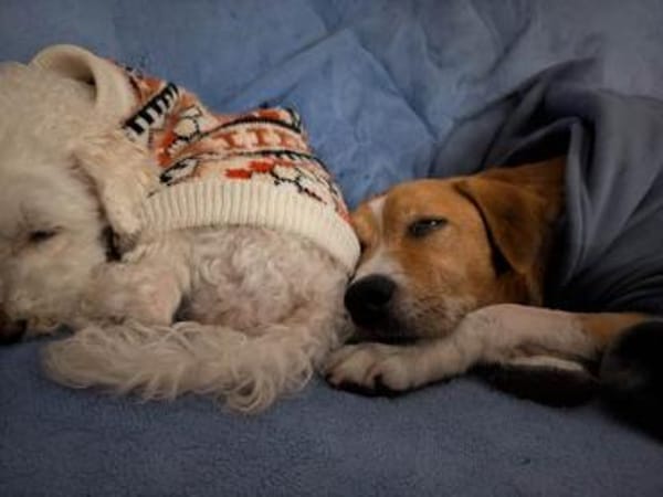 Lucero endlich ist er in Sicherheit