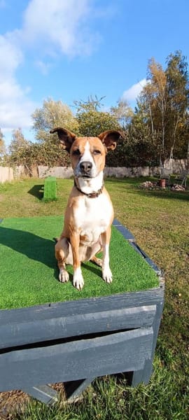 Rina - sportlich und aktiv