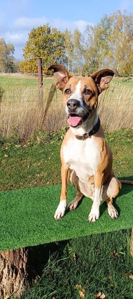 Rina - sportlich und aktiv