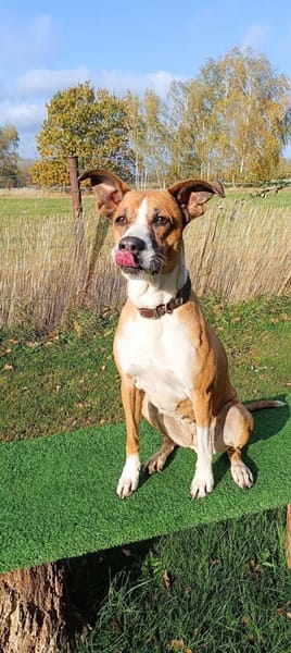 Rina - sportlich und aktiv