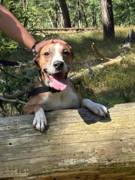 Rina - sportlich und aktiv