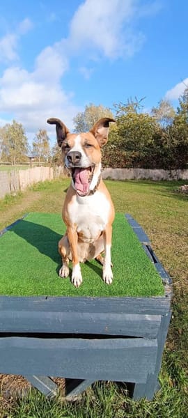 Rina - sportlich und aktiv