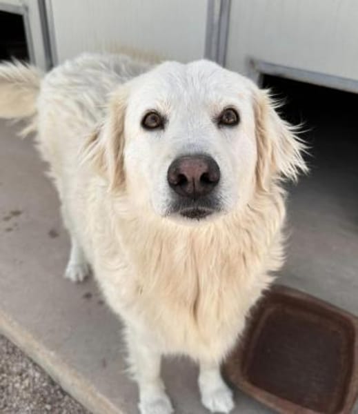 Bianca, Pflegestelle in Hessen