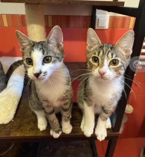 Bambu & Dalia  ein liebenswürdiges Team