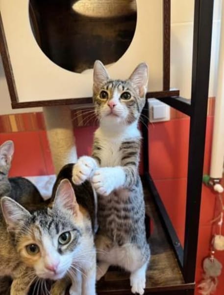 Bambu & Dalia  ein liebenswürdiges Team