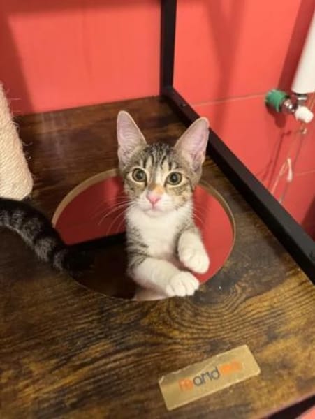 Bambu & Dalia  ein liebenswürdiges Team