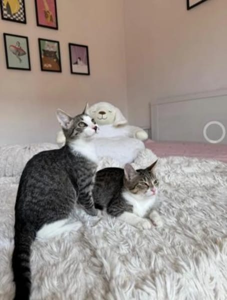 Bambu & Dalia  ein liebenswürdiges Team