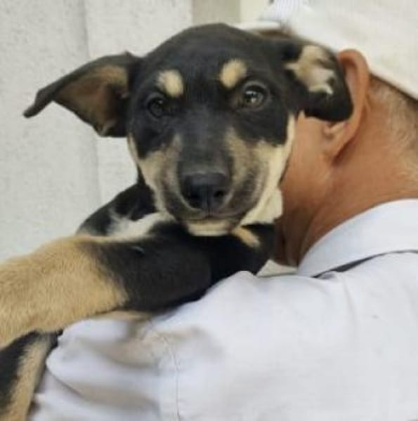 Padma 40 cm (Okt 25) Pflegestelle