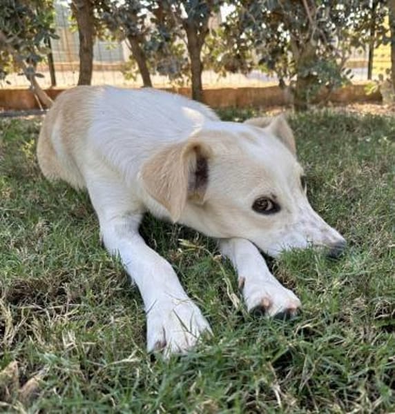 Morgana, Pflegestelle in Bayern