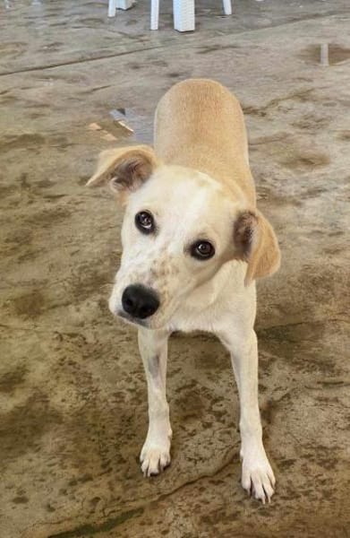 Morgana, Pflegestelle in Bayern