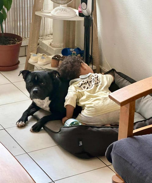 Rasta Rocquet, l'adorable toutou