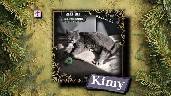 Kimy