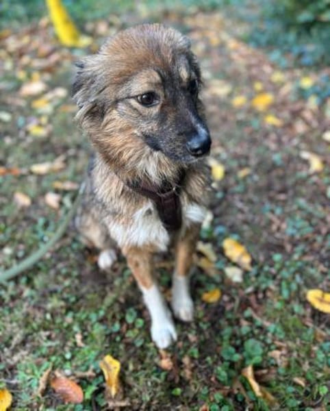 Nia sucht ihr Königreich