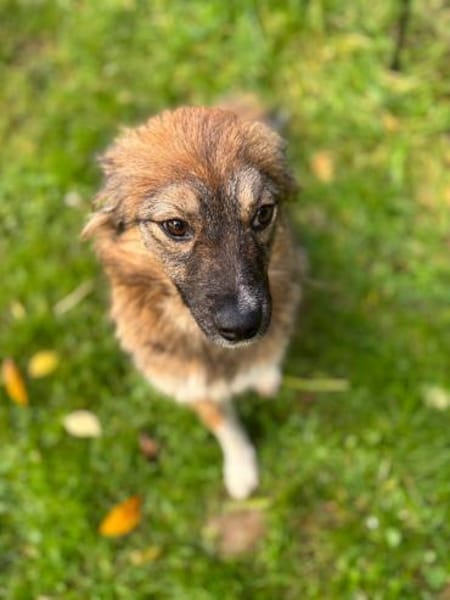 Nia sucht ihr Königreich