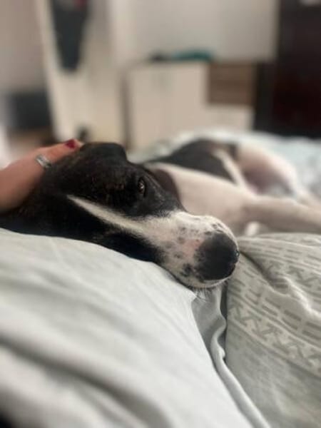 SAHIRA * sensibel und sanft