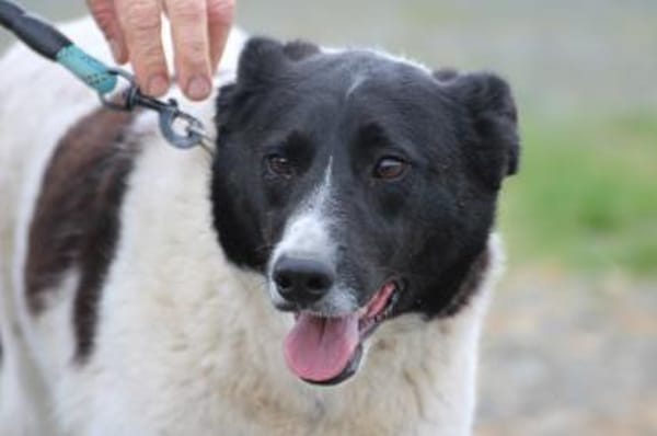 Aria - perfekt für Familie mit Kindern