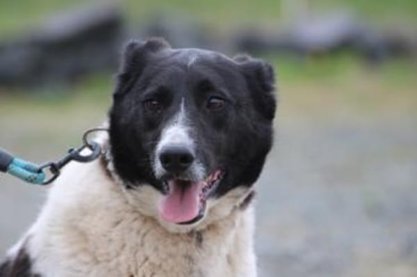 Aria - perfekt für Familie mit Kindern