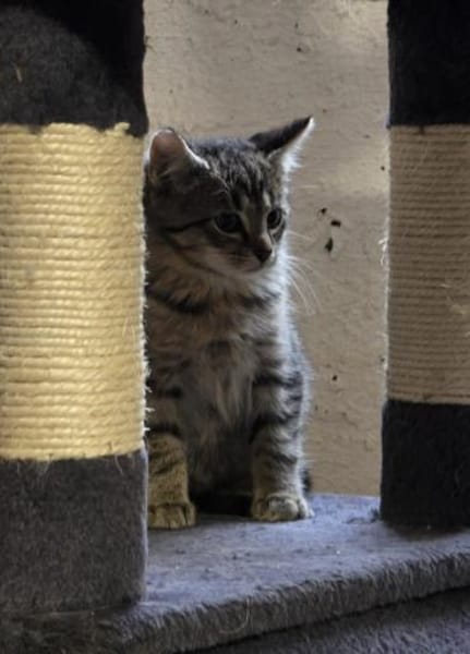 ***FRODO, GIMLI und BILBO!***