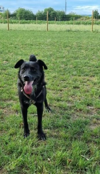 ANDRA * sucht enge Bezugsperson