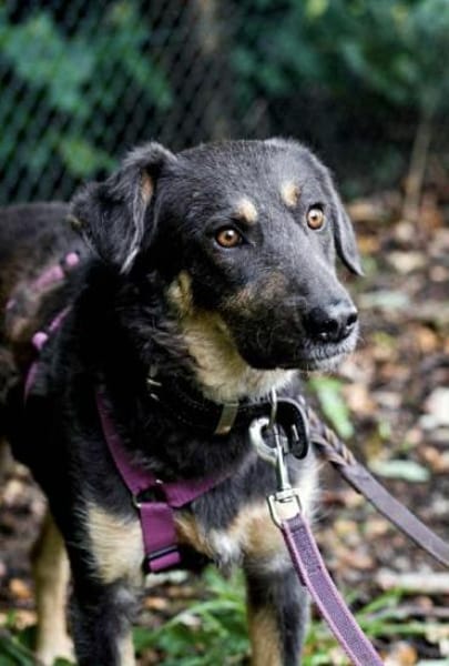 YETINA -möchte ankommen-