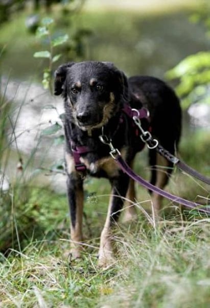 YETINA -möchte ankommen-