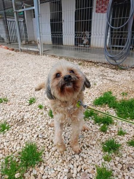 Schätzchen im Doppelpack