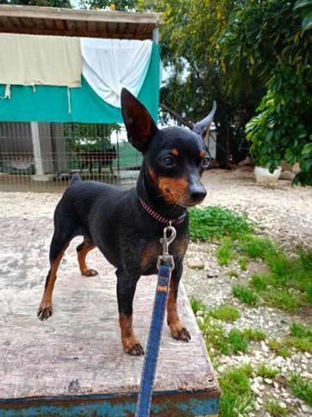 Schätzchen im Doppelpack