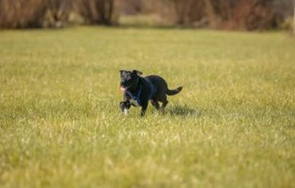 MACY -sucht erfahrene Menschen-