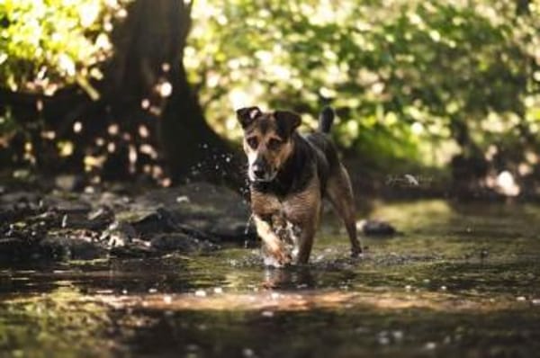 NORAH -aktiv & menschenbezogen-