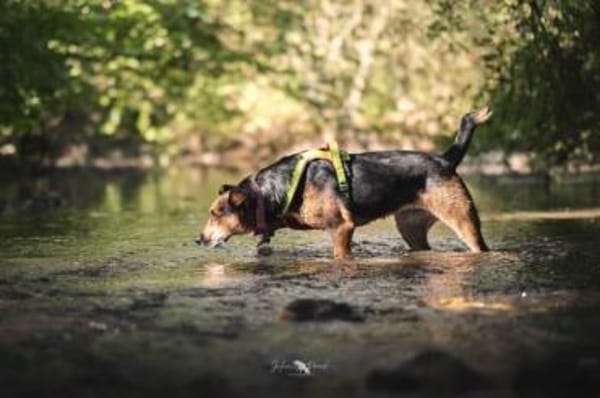 NORAH -aktiv & menschenbezogen-