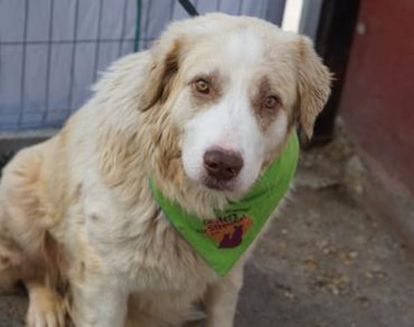 Wird Isamu dein Freund fürs Leben?