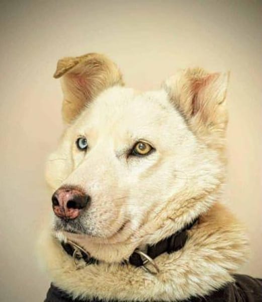 AMBERBLUE -freundlich & unkompliziert-