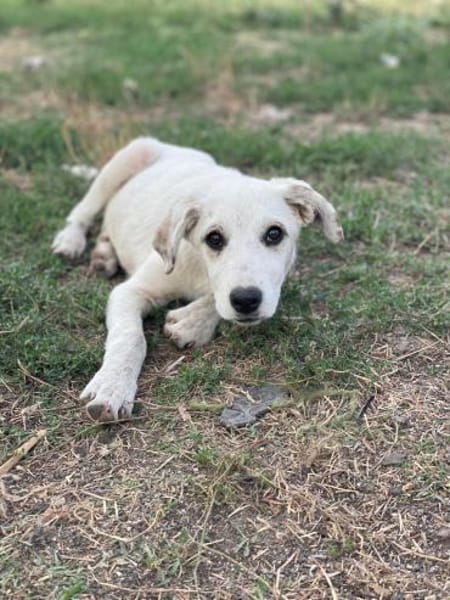 Paula sucht ihre Menschen