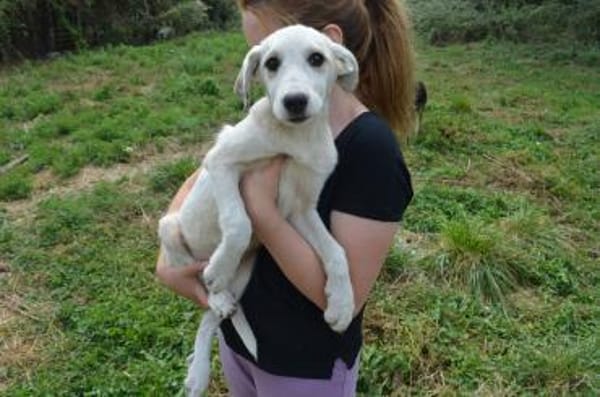 Paula sucht ihre Menschen