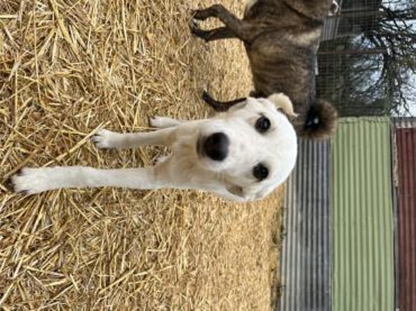 Paula sucht ihre Menschen