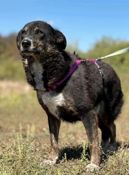 Selma - Lebensfreude pur trotz Handicap