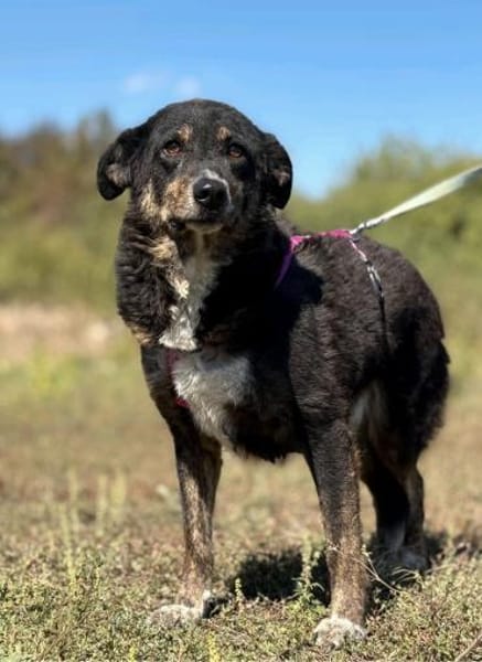 Selma - Lebensfreude pur trotz Handicap