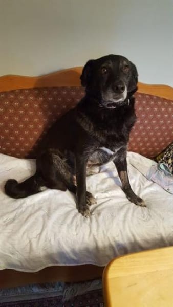 JONNA * ruhige liebe Einzelseniorin