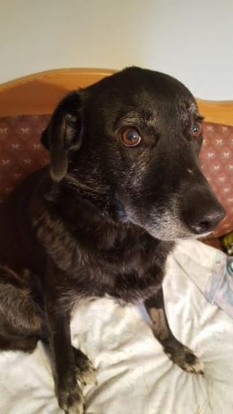 JONNA * ruhige liebe Einzelseniorin