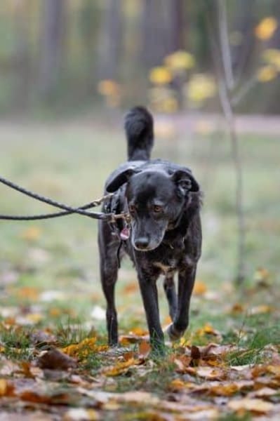 JONNA * ruhige liebe Einzelseniorin