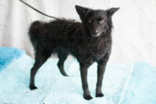 MARENA - liebenswert&intelligent